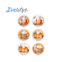 Freestyle Libre 3 Sensor 6 Pack Stickers - Pumpkin Spice