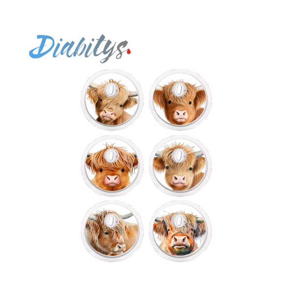 Freestyle Libre 3 Sensor 6 Pack Stickers - Highland Cow